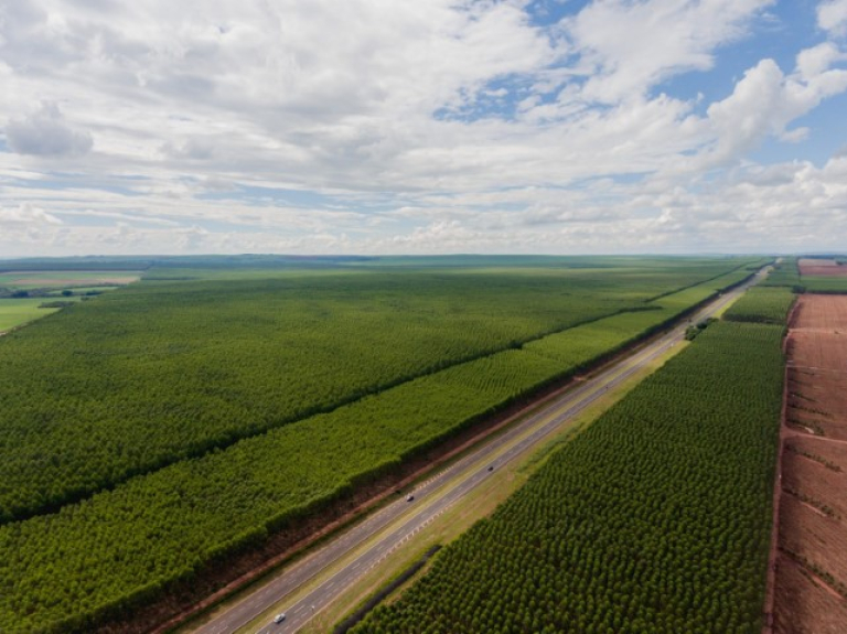 WhatsApp Image 2026-02-27 at 14.50.29 (Pequeno)