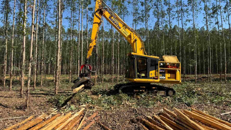 Novo-Projeto-2025-10-13T111953.166-1536x864