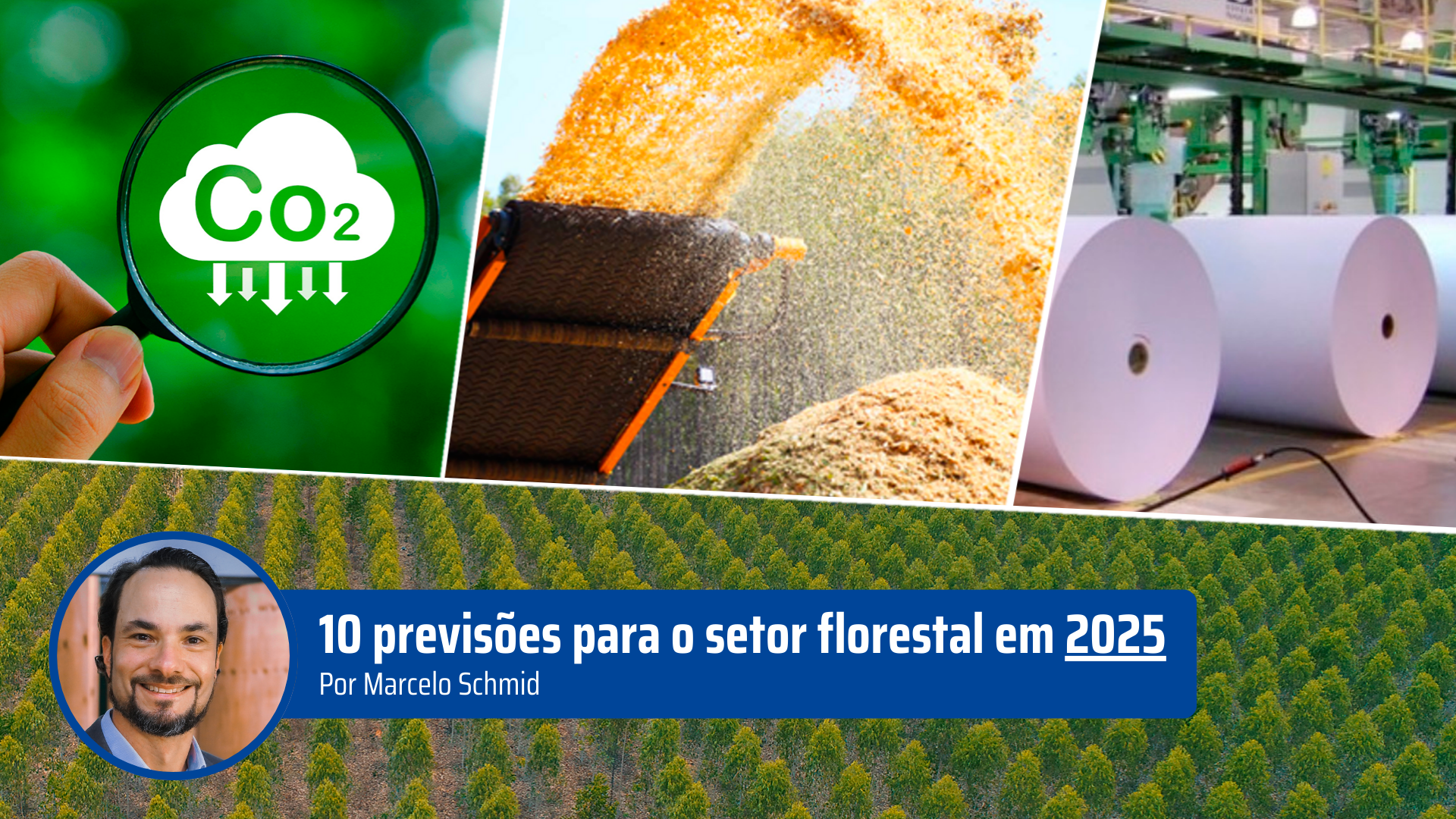10-previsões-setor-florestal-2025