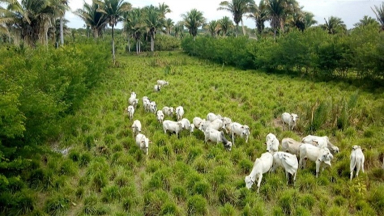 Foto: Joaquim Bezerra
3b6ee59d2754482392fc29664819940a_858x483