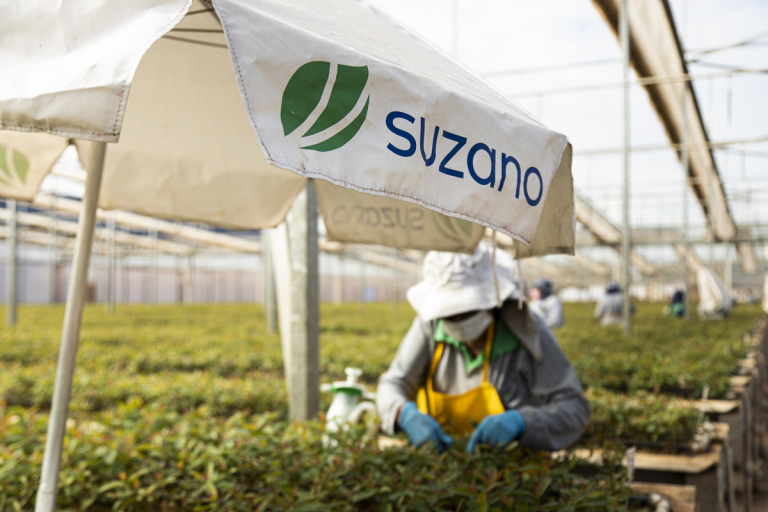 Suzano está com cinco processos seletivos abertos para Brasilândia, Ribas do Rio Pardo e Três Lagoas (MS)