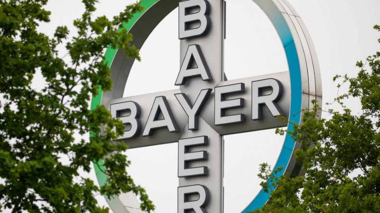 bayer_1