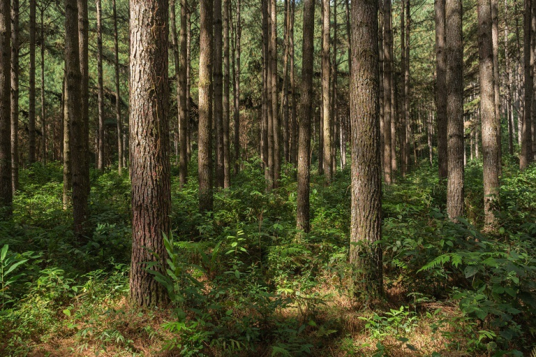 WhatsApp Image 2025-11-14 at 08.25.50