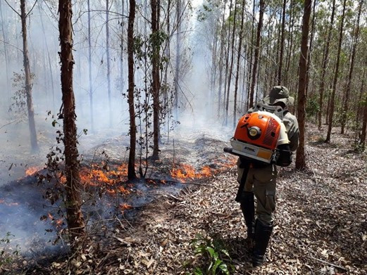 Combate a incêndios florestais -- Foto - Acervo Bracell
